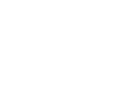 Teri Custom